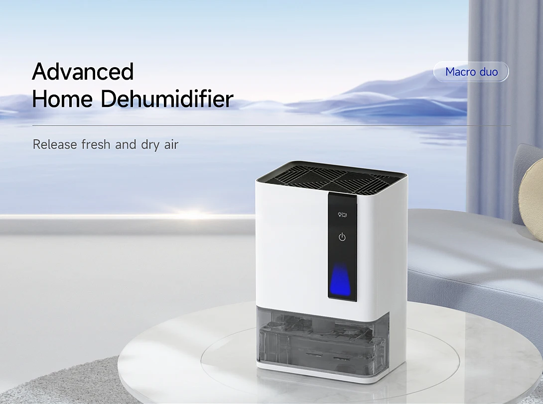 20240806-Macro-duo-_01