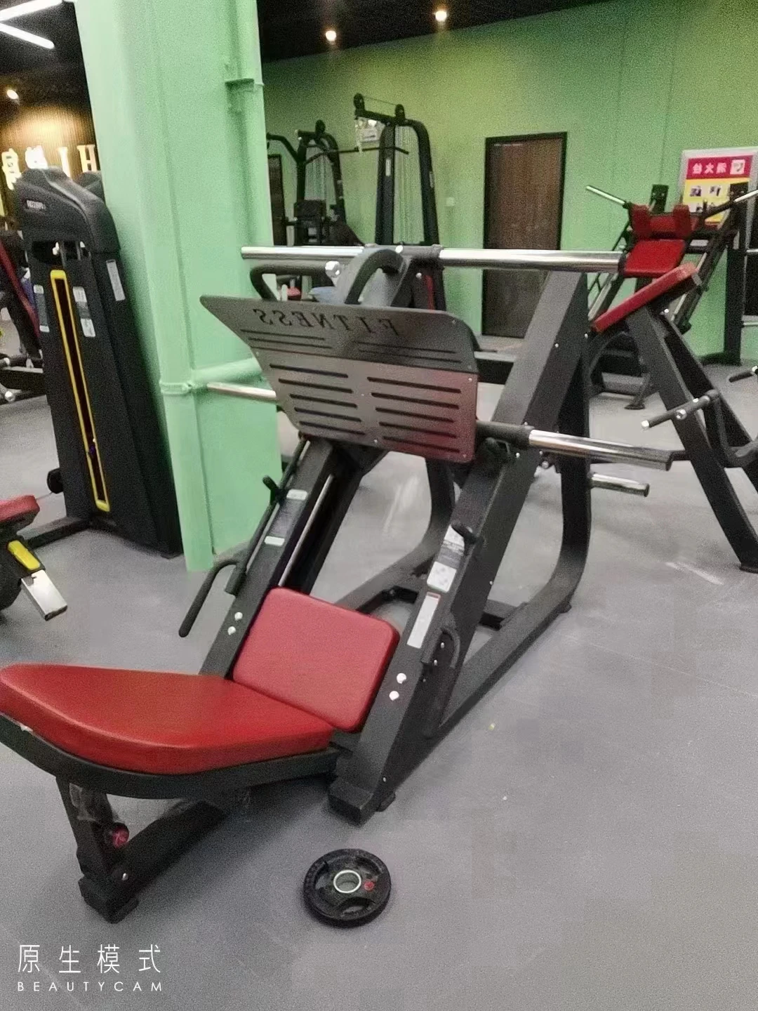 Gym fitness 45 Degree Leg Press Machine Strength Training Weight Plate Loaded Linear Leg Press