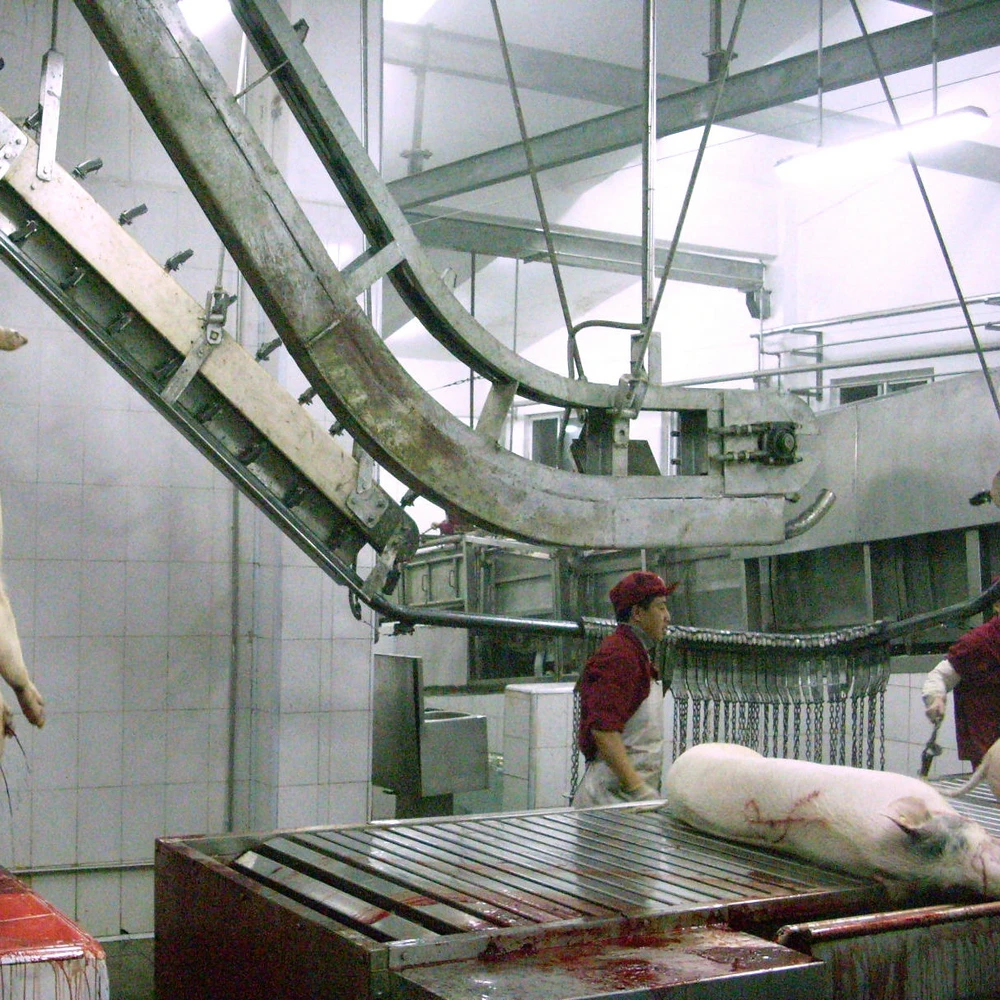 Pig Abattoir Plant Standard Swine Meat Processing Plant with Pig Slaughter Equipment