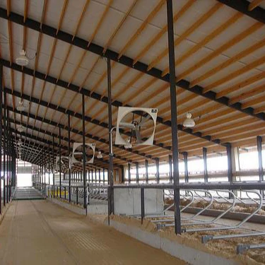 prefab steel structure dairy cow shed farm