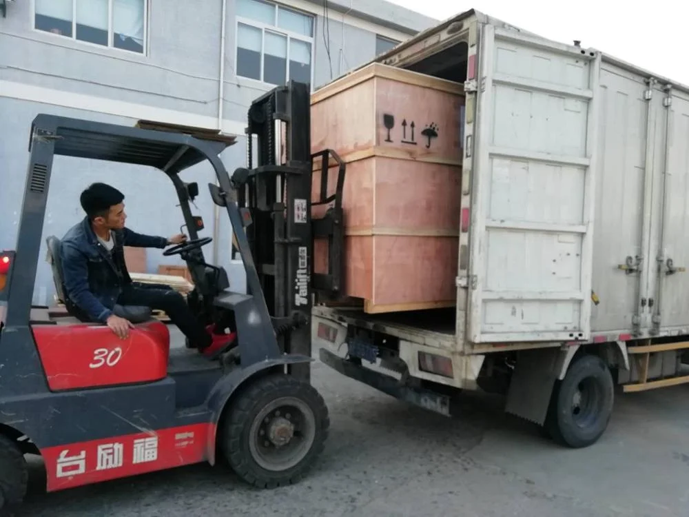 Professional manufacturer wholesale electronic tablet capsule counting machine