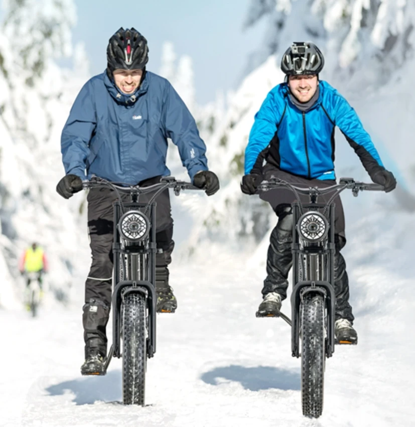 250W Brushless Motor 7 Speed Cruise Control Mountain Snow E Bike with Disc Brake