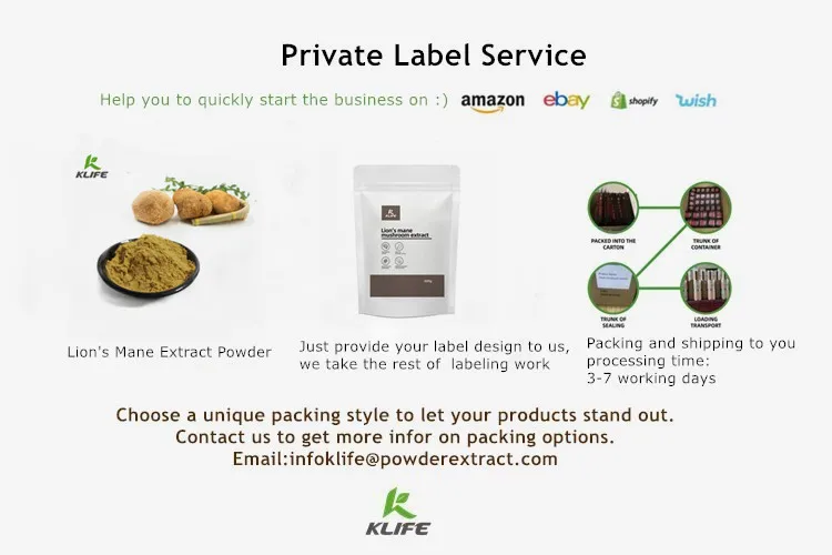 Левиная грива, двойной экстракт грибов, порошок, экстракт Львиной гривы