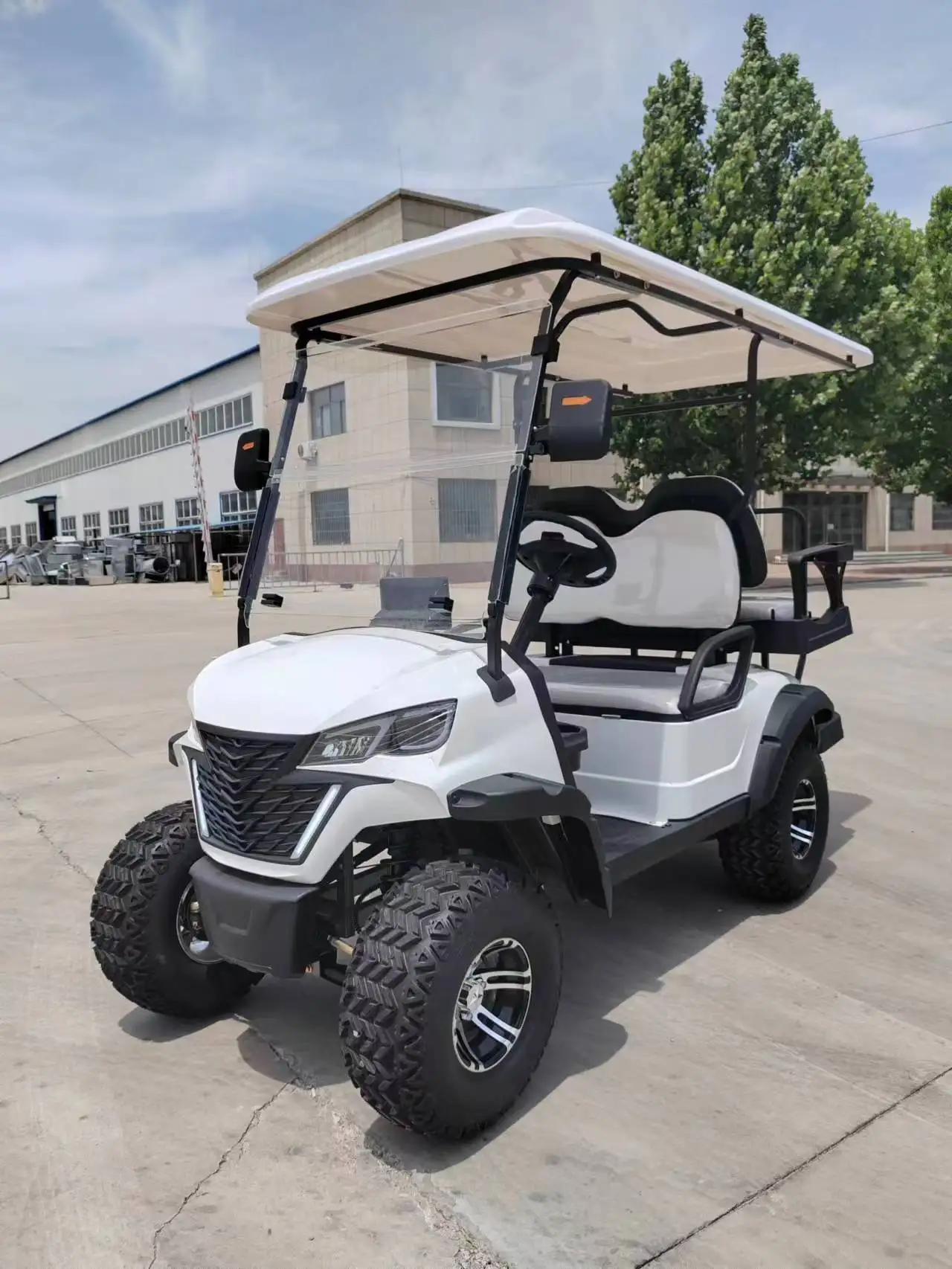 Electric Lifted Golf Cart 2 4 6 8 Seats Gas Off Road Club Car for Sale Blue black Custom Free Design