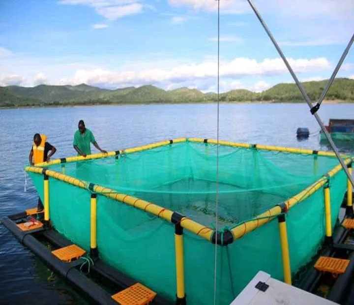 Aquaculture Fish Cage Floating Fish Farming Cage 10 Years Service Life HDPE Fish Trap