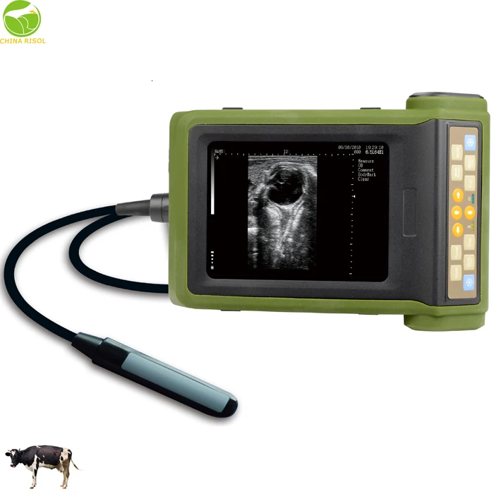 RKU10 Cow Dog Alpaca Feline Canine Rabbi Fish Snake Pregnancy vet portable Ultrasound Scanner Veterinary / Pregnancy Detector