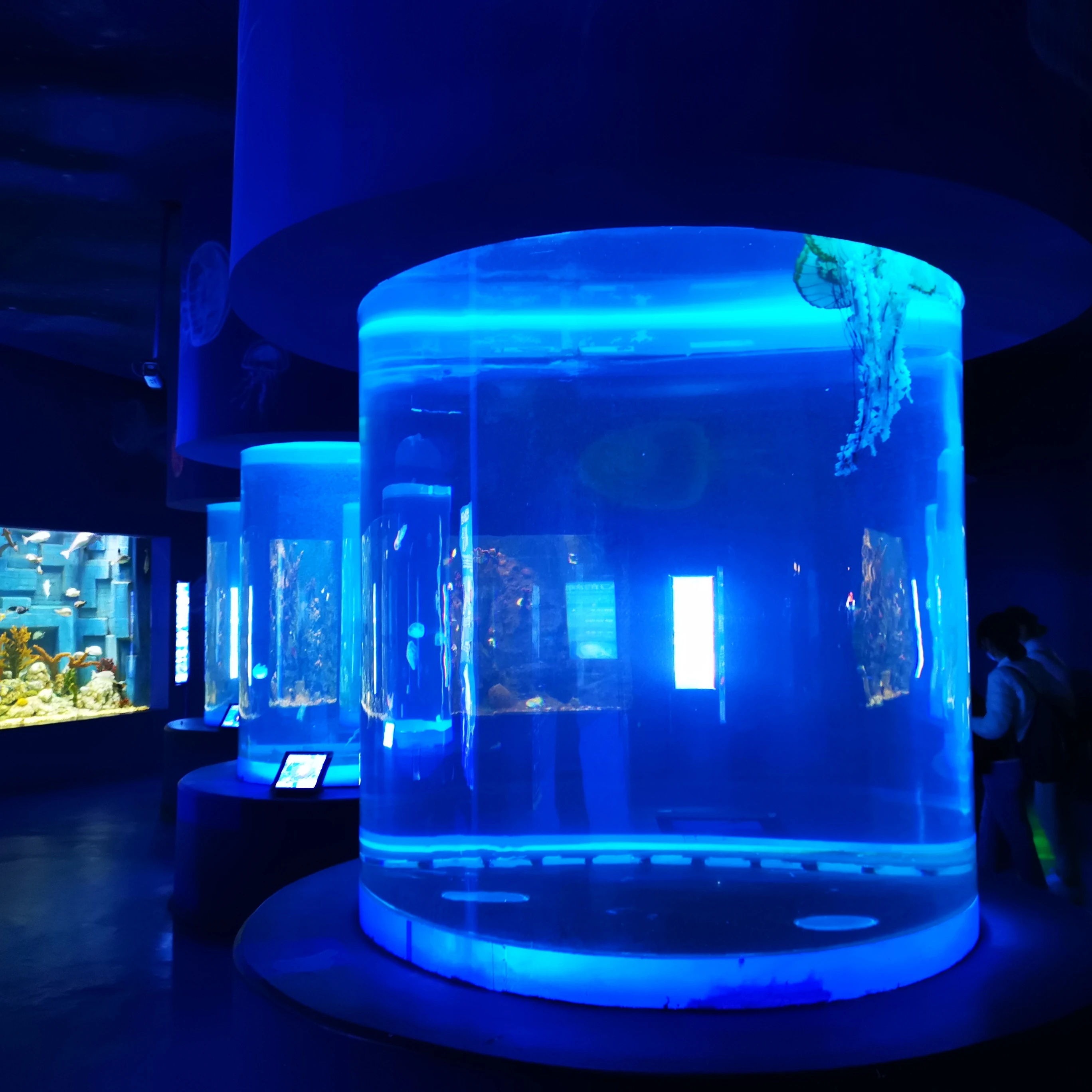 Цилиндрический аквариум