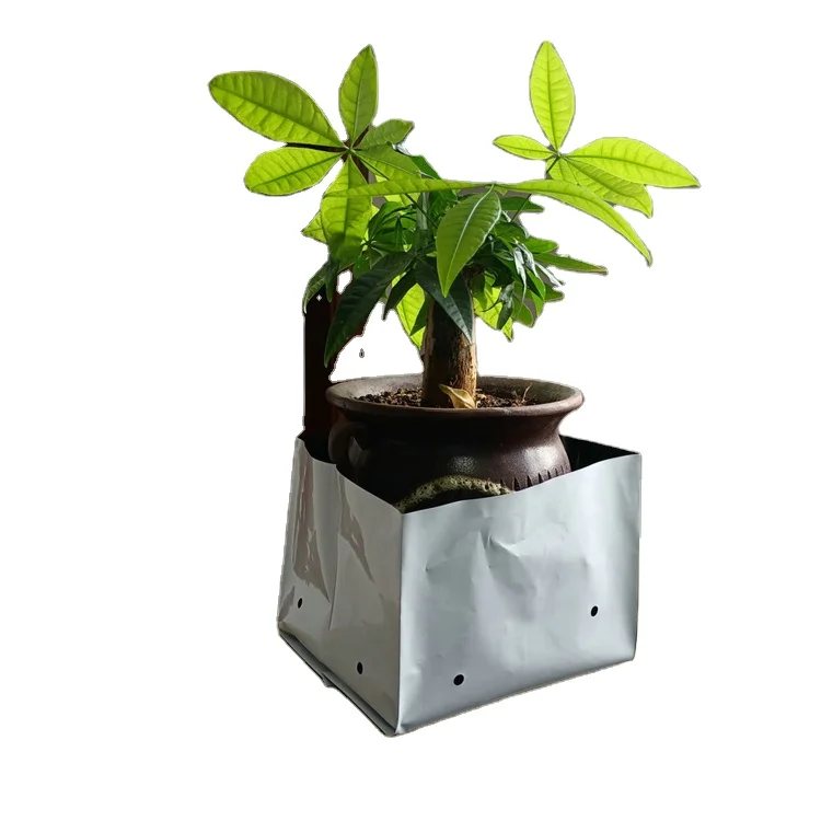Wide application grow bags for plants fabric grow bags for blueberries mango growing bag