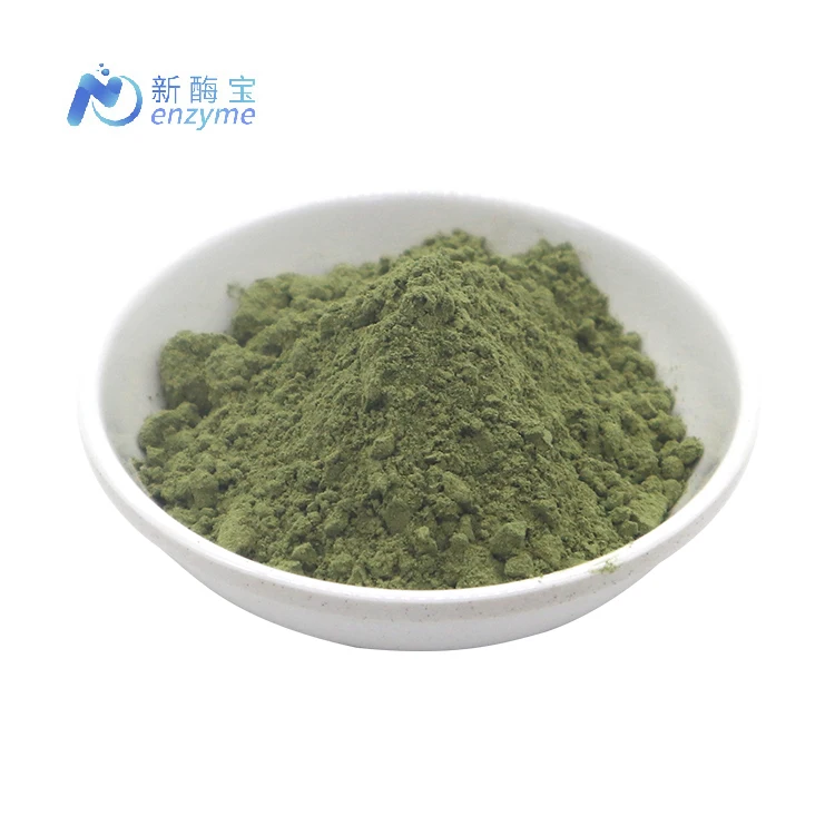 Novenzyme Оптовая торговля органический порошок листьев Moringa Oleifera