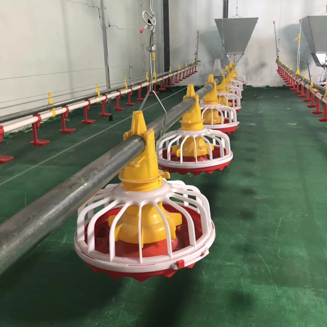 pan feeding system  for broiler layer chicken drinkers automatic pan feeding system