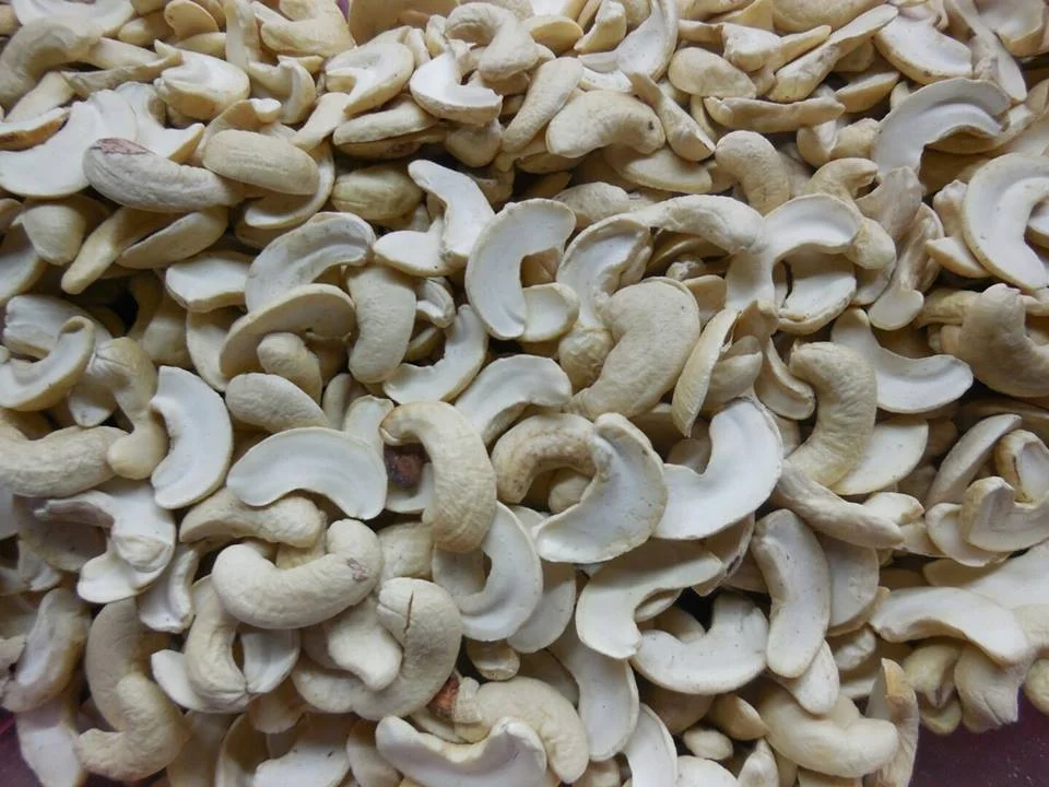 Export Cashew Nut Kernels Ww180, Ww220, Ww240, Ww320, Ww450 0 - origin Vietnam - Best Quality