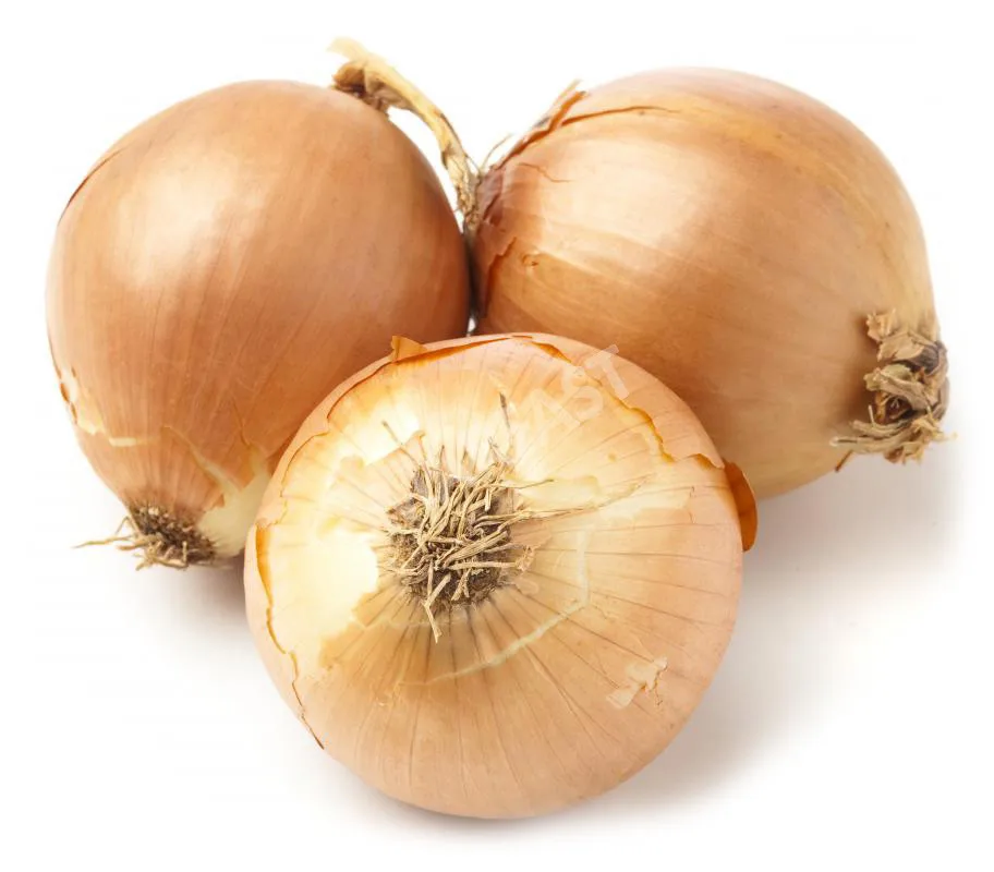 yellow onion price ton on fresh red onions for sale by onion suppliers