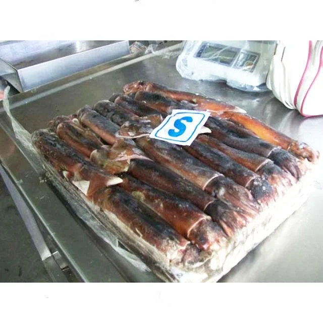 Low price fresh sea frozen ocean squid illex whole round squid frozen raw squid