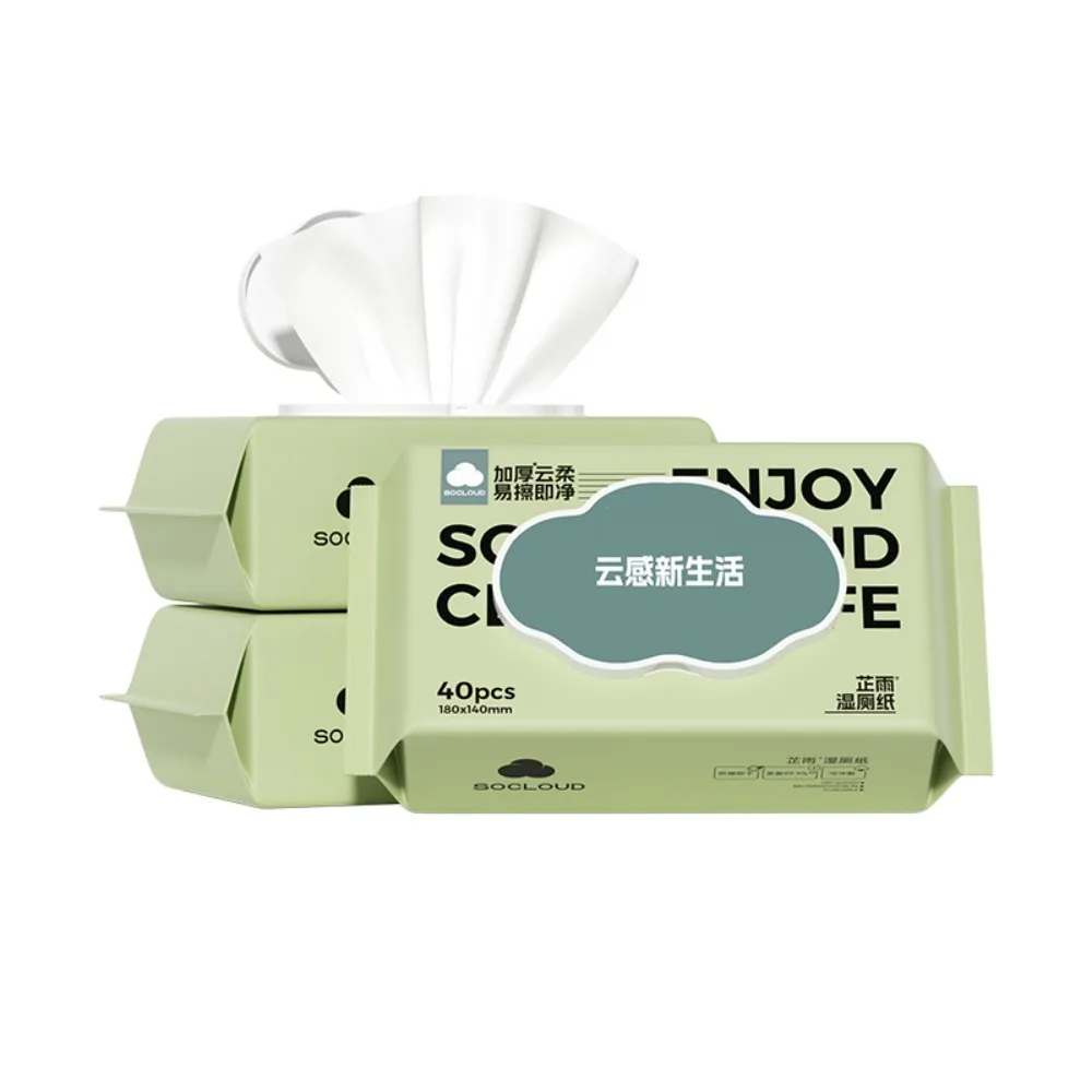 Factory Custom Disposable Baby Adult Antibacterial Cleaning Wet Wipes Flushable Biodegradable Bathroom Toilet Wet Wipes
