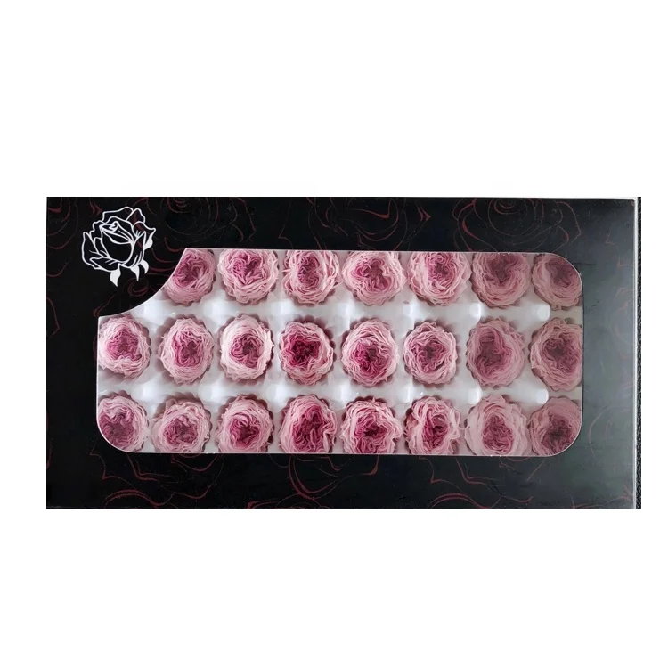 Real natural preserved roses the stabilized flowers preserved austin rose head with factory price