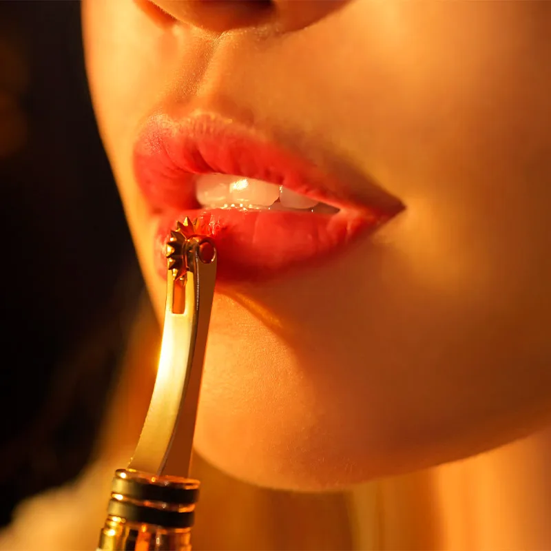 OEM ODM Factory Wholesale BDSM Sex Metal Sex Pinwheel Steel Wartenberg Pinwheel