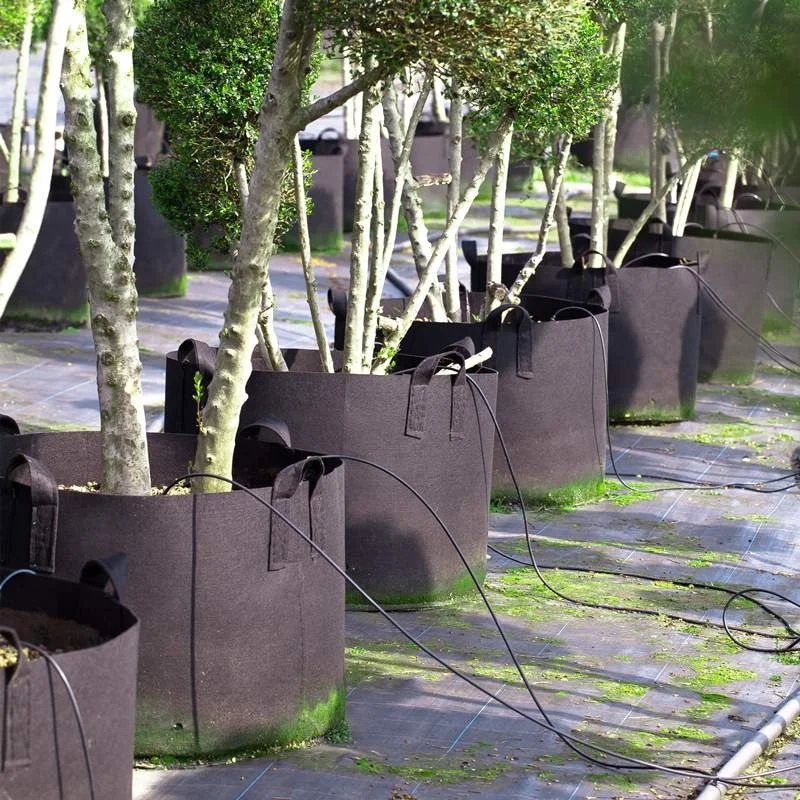 YUNCHENG 40 50 60 80 100 120 200 300 500 галлонов в виде садовых овощей приятная на ощупь ткань питомник горшок для выращивания
