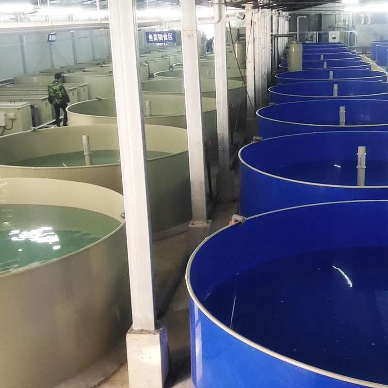 Large Output Recycling Aquaculture System Koi Pond,fishery Equipment Farming,ras Complete System