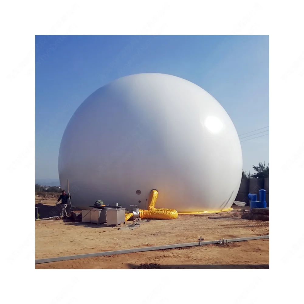 HY Double Membrane Biogas Holder Mounted biodigestor gas for Cow Dung Waste small farm Biogas Plant in UK