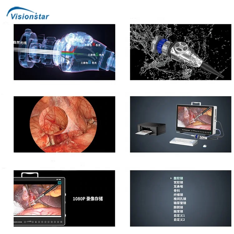 All-in-one Integrated HD Endoscopy Camera System Vet Endoscope for Medical Animal Inspection