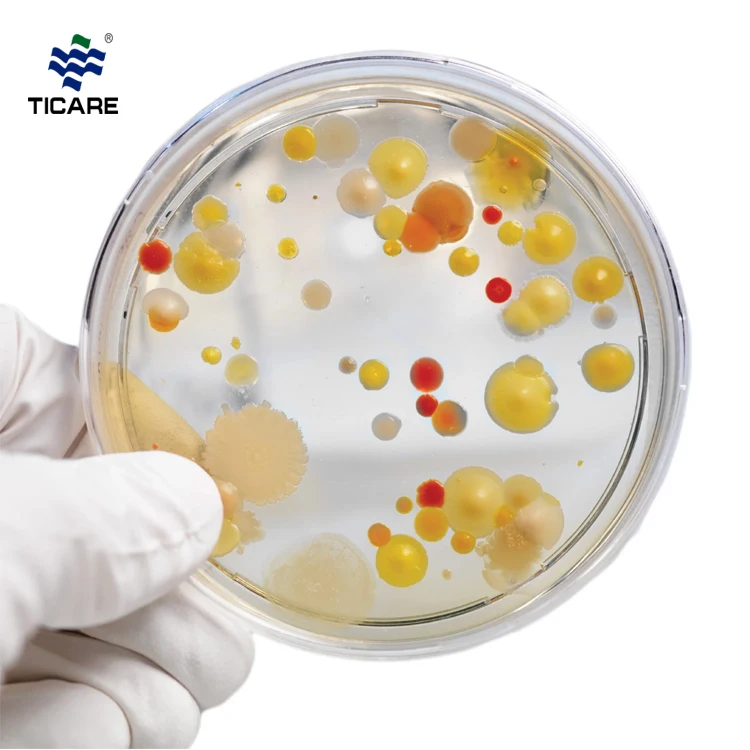 tc7001-agar-2.jpg