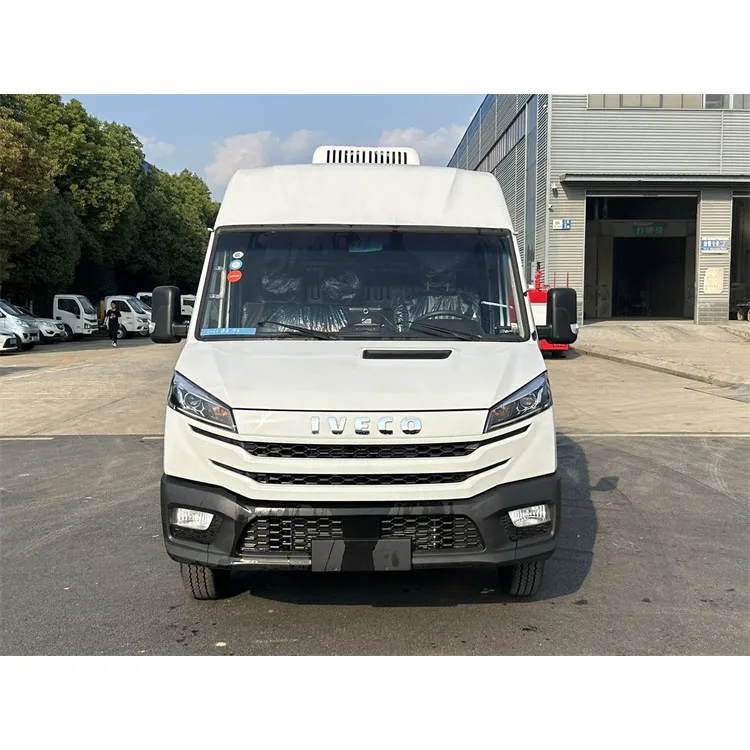 China Factory I-VECO Turbo Daily 2-3 Ton Small Refrigerated Cold Room Van Truck