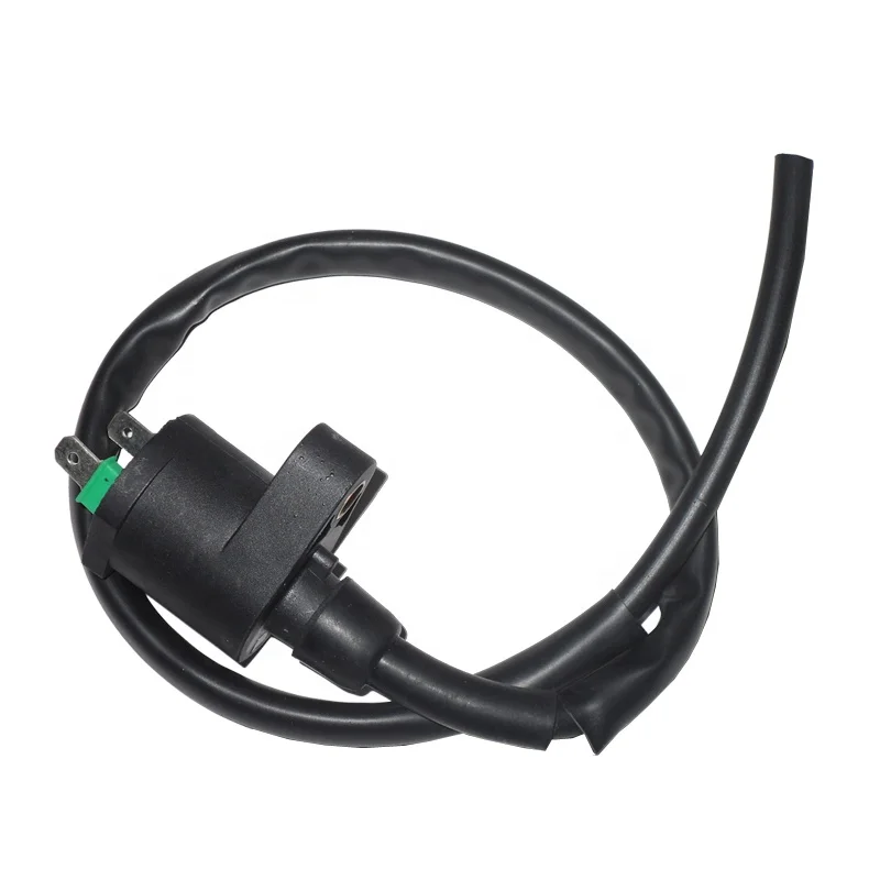 Tricycle spare parts cargo trike 125cc TITAN99 E - STORM CARGO 125 CARGO125 Motorcycle Ignition Coil