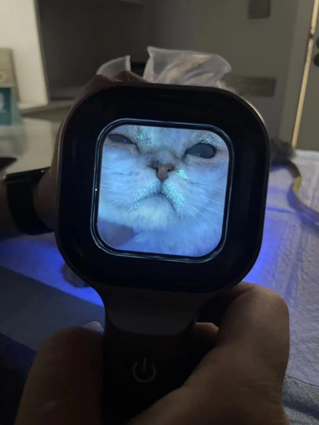 Veterinary medical wood lamp  for Family Pet Animal Hospital pet  for cat tinea test