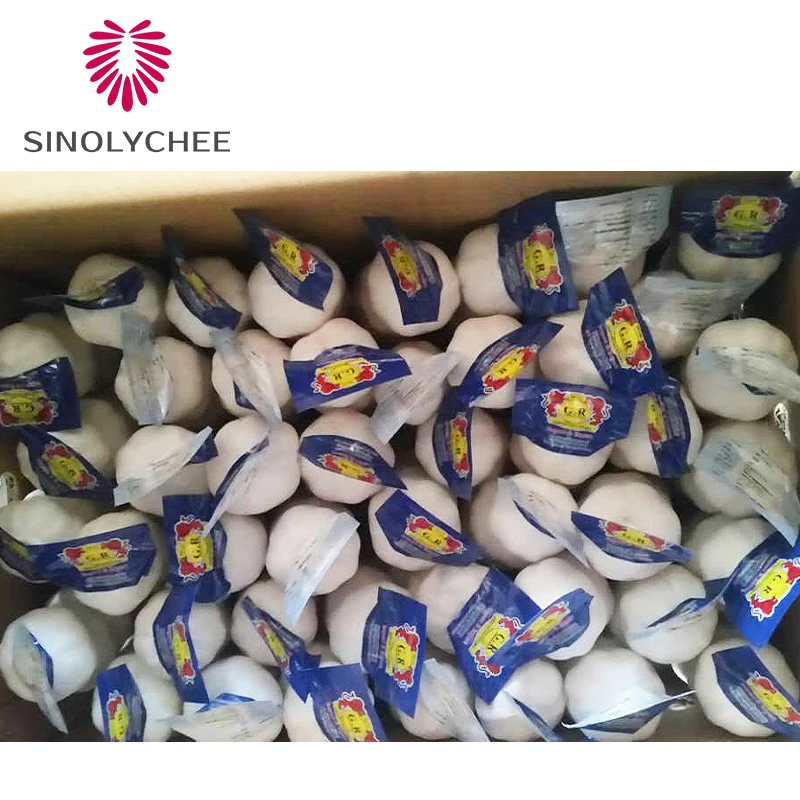 2022 China Wholesale Fresh Garlic Direct Supplier White Fresh Garlic