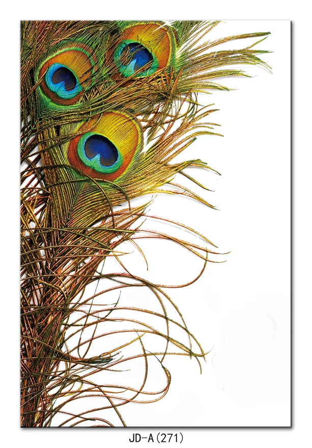 High Quality Canvas Printed Peacock Animal Decorative Painting Poster for Living Room and Bedroom