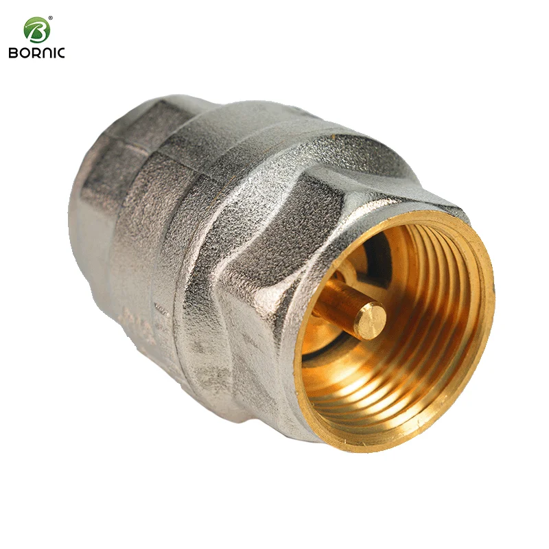 DN8 DN10 DN15 DN20 DN25 DN80 для воды общего применения OEM настраиваемый обратный клапан