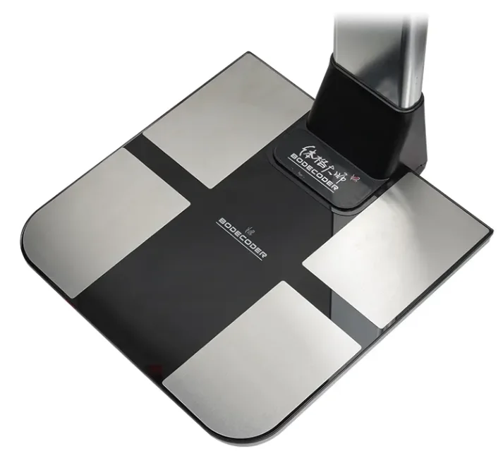 Body Composition Analyzer Obesity Equiment Body analyzer Body Fat Scale Quan-tum Resonance Magnetic Analyzer Measuring Weight