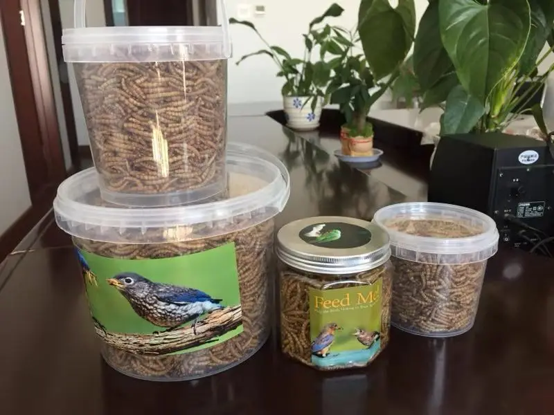 
Dry yellow mealwoms as food for birds canary 