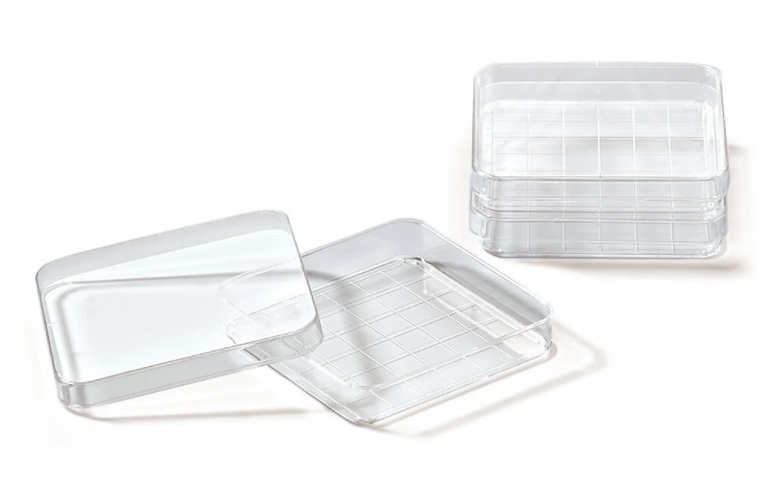 Disposable 90x15 Petri Dish Two Sections