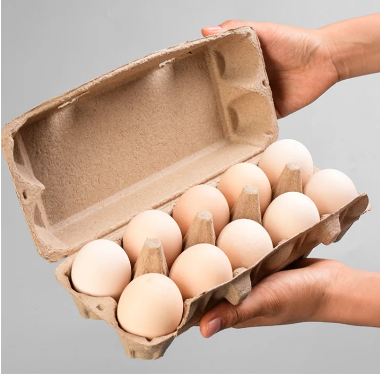 pulp egg tray mold chicken egg carton Environmental disposable 12 Pack Paper Pulp Egg Tray