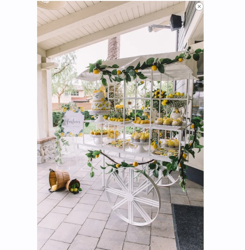 Wedding Party Garden Decoration Flower Display Cart rack White Gift Cart