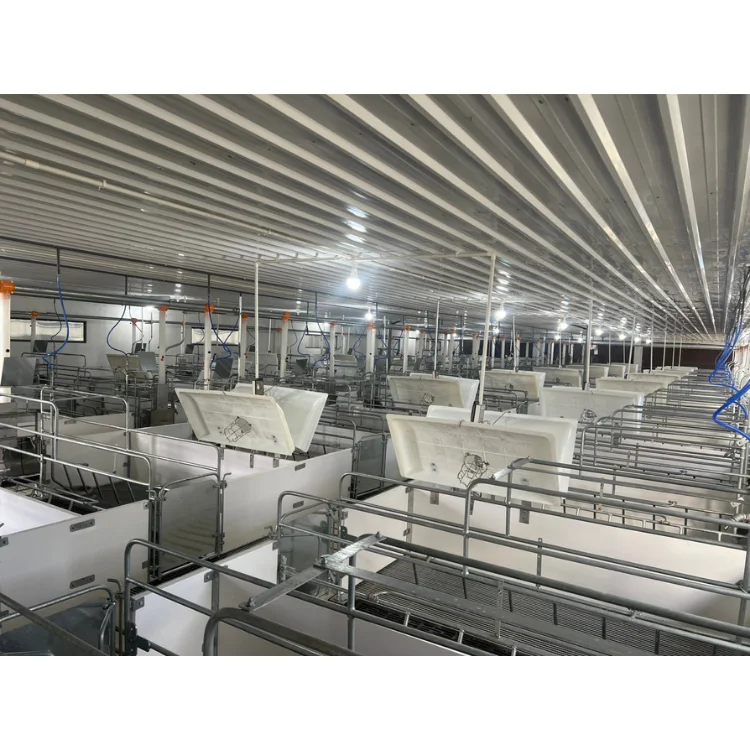 Farrowing Crate Pig Cheap Price 2-Door Design Animal Husbandry Pig Farming Equipment Custom Size From Vietnam Manufacturer