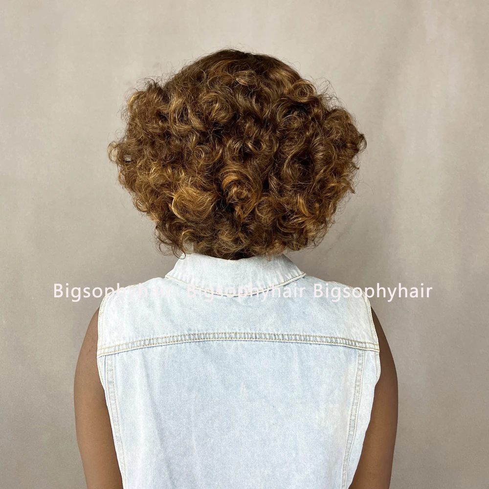 Drop Shipping 12A Grade Raw Human Hair Wholesale Wig Vendor,Natural Black Color Spring Curls 4X4 Closure Short Style Wig Selling