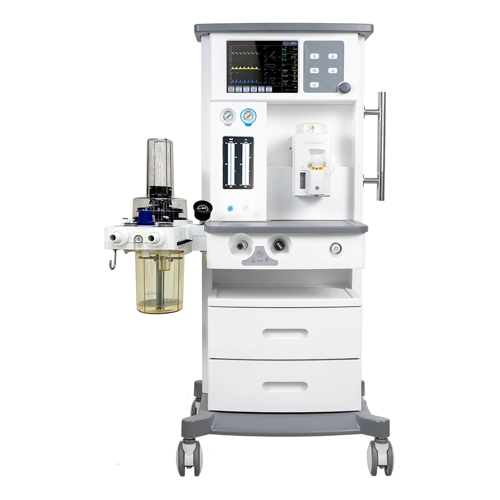 Factory Production Good Quality DM6A Animal Veterinaria Instrument Veterinary Anesthesia System