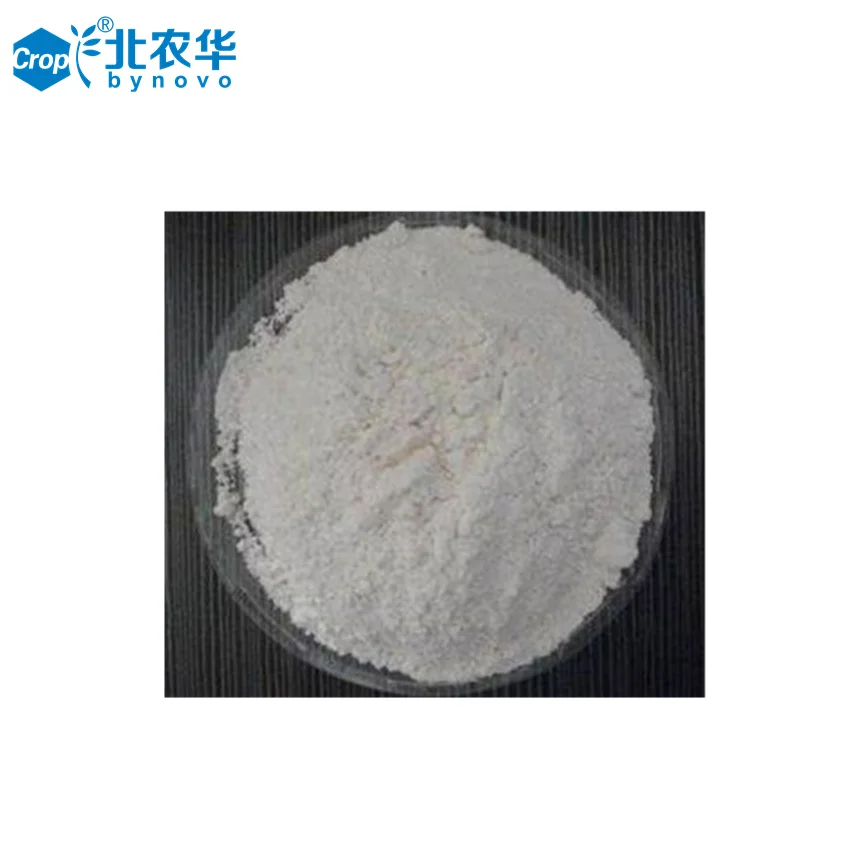 
Insecticide Imidacloprid 10% Wettable Powder 