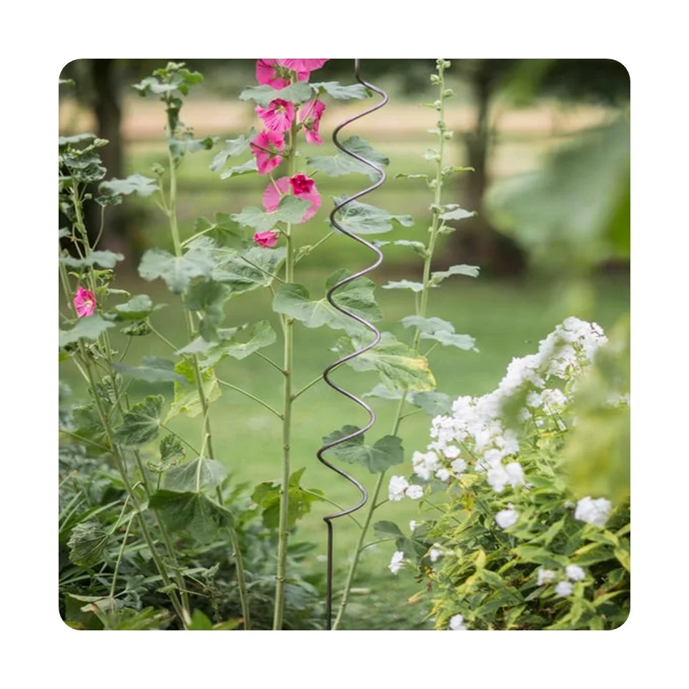 spiral stakes for tomatoes	stakes for tomato