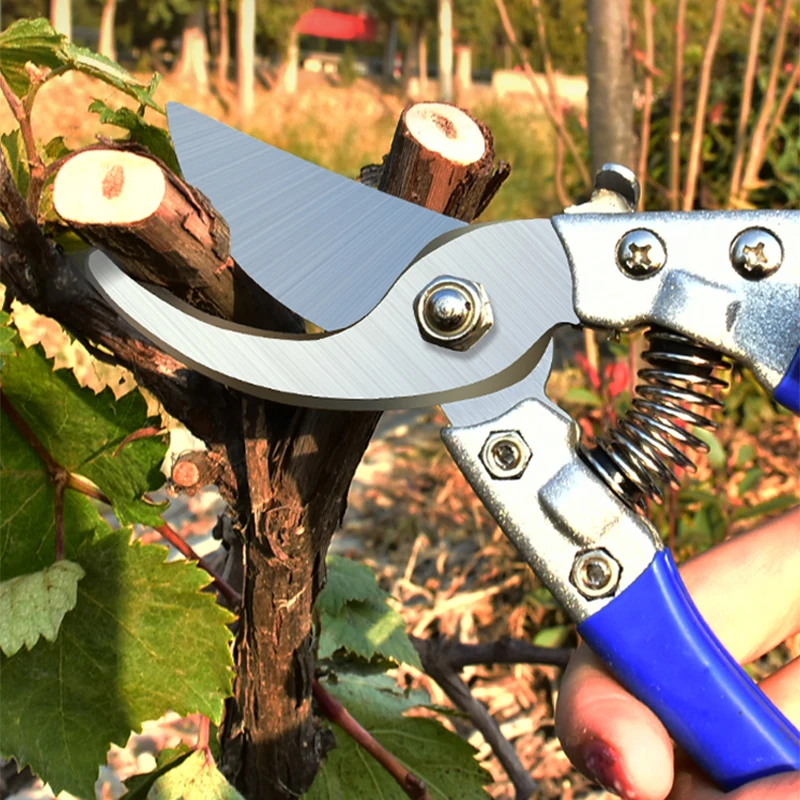 Professional labor-saving gardening scissors Bonsai fruit tree bypass pruning scissors