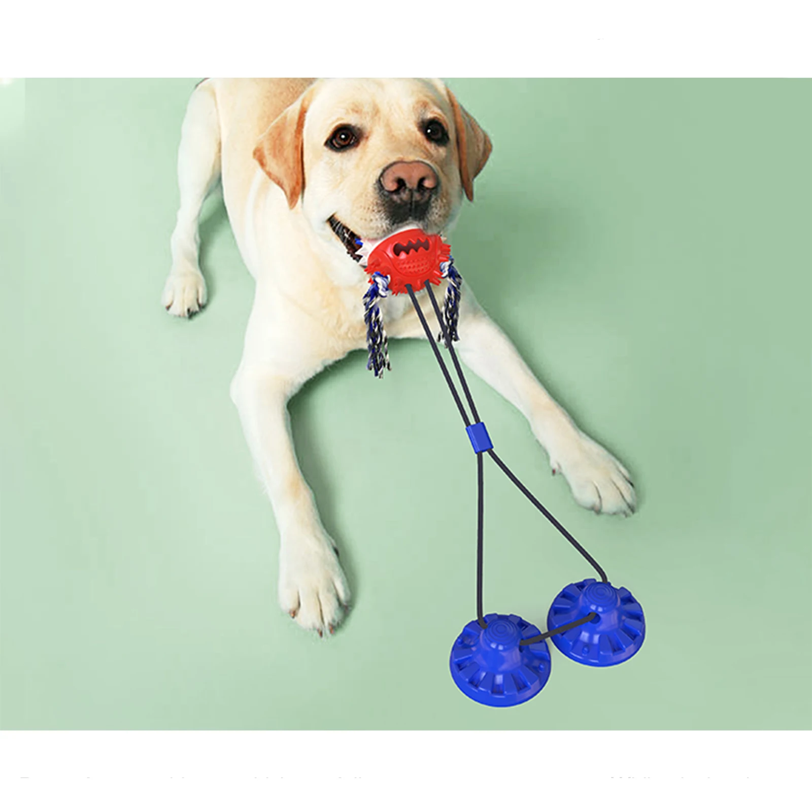 New Upgraded Dog Chewing Toy Molar Chewing Toy Pet Interactive Rope Sucker Ball Tpr Toy Dog