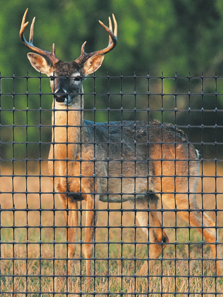 plastic bop anti bird netting/ pp deer fence mesh/ mole net