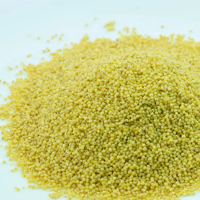 High Grade Wholesale New Crop bulk hulled yellow millet on sale