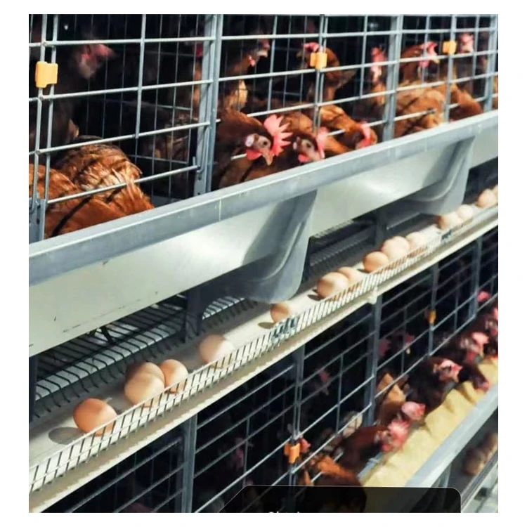 Куриные клетки яичный слой птицеводческие фермы Тип куриный курятник система аккумуляторной