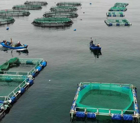 plastic fish cage floating feed net cage fish farming equipment floating fish cage for tilapia