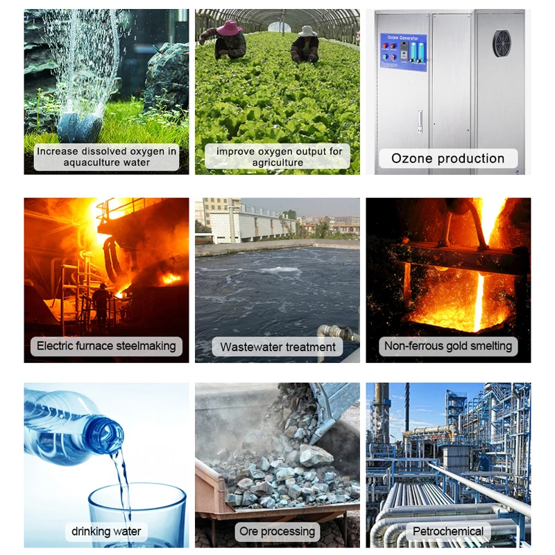 Qlozone aquaculture fish hatchery equipment 5L high purity oxygenerator fish farming psa oxygen generator