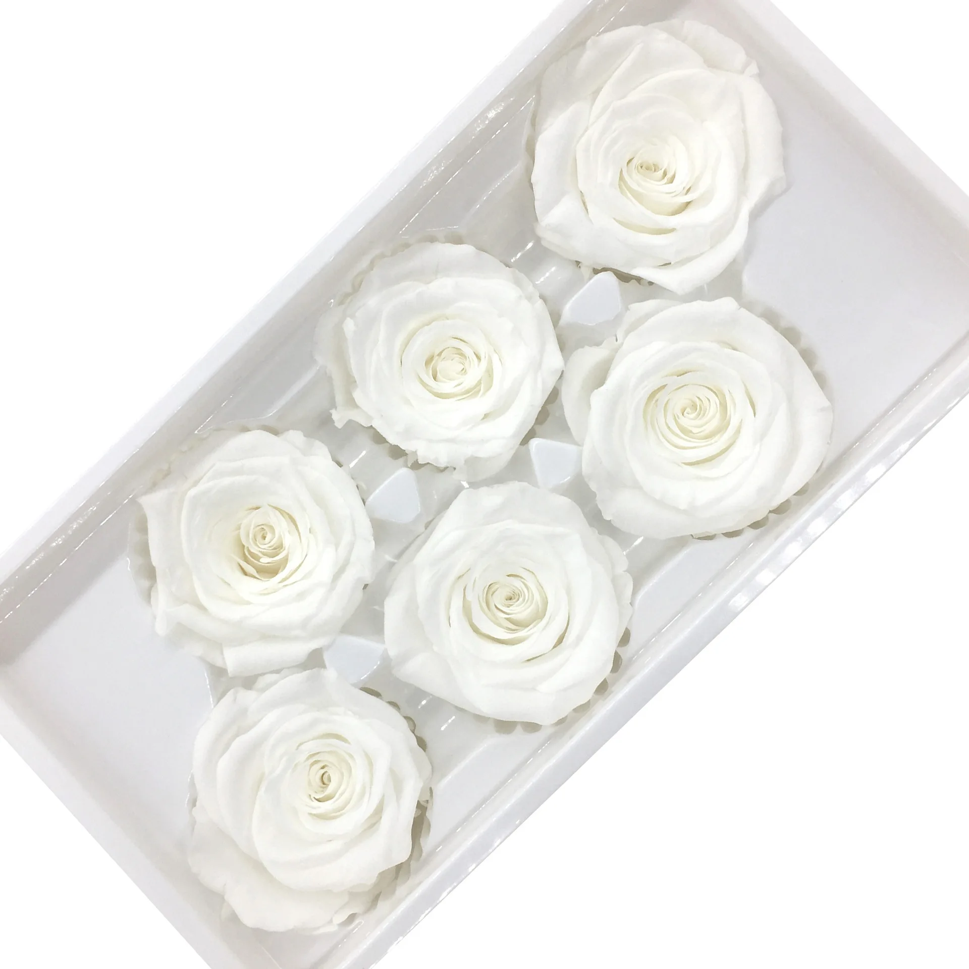 Best quality Yunnan factory Wholesale natural eternal Immortal flower head preserved roses