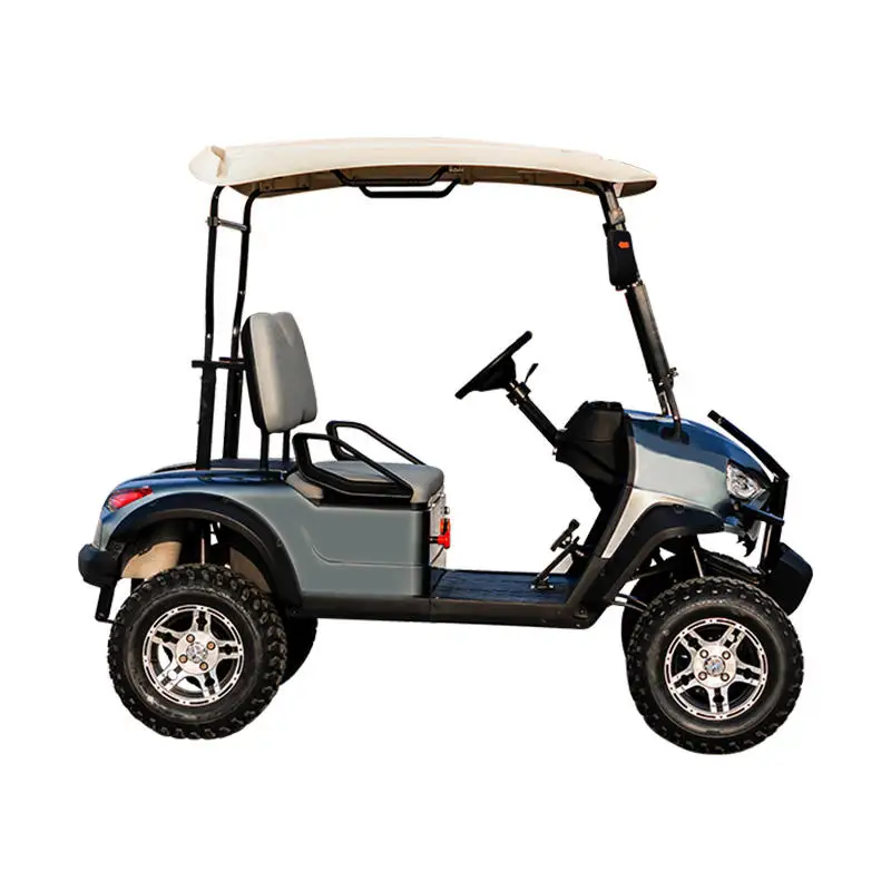 2 people golf cart intelligent LED display with ball bag frame worry-free enjoy the golf course China golf cart wholesale